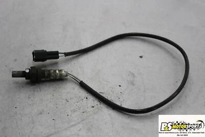 Triumph Daytona 600 2004 04 oxígeno O2 escape gas sensor lambda stock original  Foto 1 de 4
