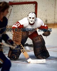 Rogie Vachon 1978-80 Detroit Red Wings HOF'er 2016 Color 8x10 C - Picture 1 of 1