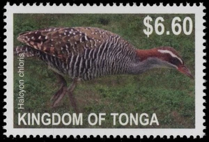 TONGA 1167 - Polierte Schiene "Hypotaenidia philippensis" (pc27992) - Bild 1 von 1