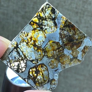 9.7Ct Brenham Olive Meteorite Pendant Olive Meteorite Slice - Picture 1 of 6