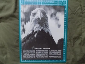 1963 PRINT AD AMERICAN EAGLE VANISHING AMERICAN - Picture 1 of 1