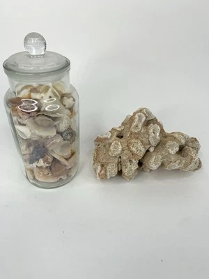 Natural Coral  Sea Ocean Reef Aquarium Home Decoration Decor Lot See Photos - Image 1 of 4
