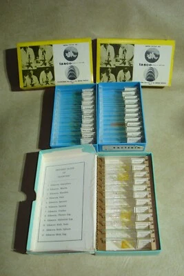 Microscopio Preparado De Colección Toboganes Gusano de Seda/Bacterias/Planta - Hecho en Japón - #12 Foto 1 de 4