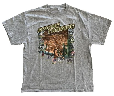 2007 Arizona Spring Training Baseball Graphic T-Shirt Gray Size Large - Image 1 of 3
