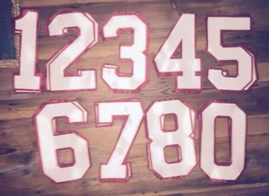 Camiseta deportiva de hockey auténtica BLANCA-ROJA SOLO TRASERA 10" juego de números de sarga de aparejos kit 033 - Imagen 1 de 1