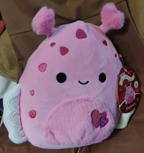 Squishmallows 8" Shabnam The Sea Slug Nuevo con Etiquetas - Imagen 1 de 8