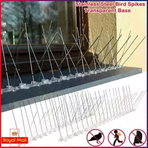 3M/10M/20M Bird Spikes for Pigeons Small Birds,Stainless Steel Deterrent-Cover - Picture 1 of 30