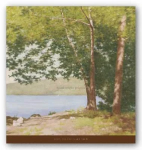 Lake View, 2002 John Folchi Art Print 32x32 - Imagen 1 de 1