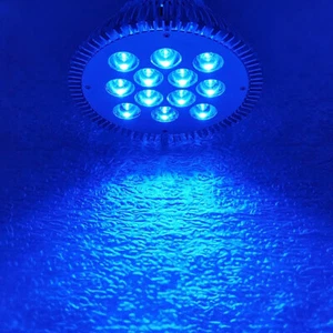 36W Ice Blue 470nm~475nm PAR38 LED Lamp Spot Light Bulb Plant Aquarium - Picture 1 of 8