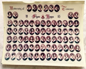 1965 SIGMA KAPPA SORORITY UNIVERSITY OF TENNESSEE ALFA DELTA FOTO KNOXVILLE TN - Foto 1 di 1