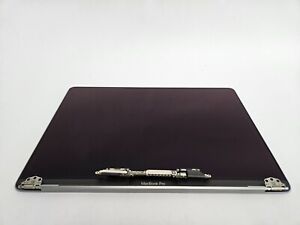 MacBook Pro15.2 13" A1989 EMC 3358.2019 LCD Screen Assembly Space Gray 661-10037