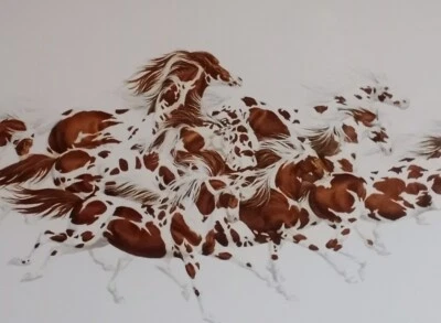 Impresiones increíbles firmadas y numeradas por Bev Doolittle - CUANDO EL VIENTO TENÍA ALAS OPW Foto 1 de 4