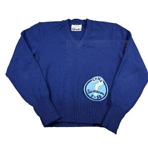 Suéter de Colección Años 50 Lana Clase Secundaria Criterio EE. UU. Puntada de Cadena Logo Azul - Imagen 1 de 11