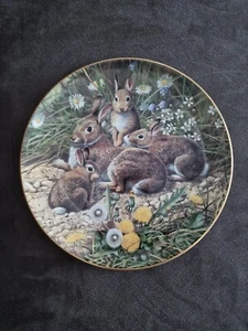 Royal Doulton Fine Bone China Plate British Wildlife Family Outing Adrian Rigby - Picture 1 of 4