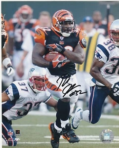RUDI JOHNSON   CINCINNATI BENGALS   ACTION SIGNED 8x10 - Picture 1 of 1