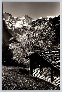 Postal - RPPC Europa Suiza Wengen cabina de troncos cerca de Tschinglehorn 95 - Imagen 1 de 2