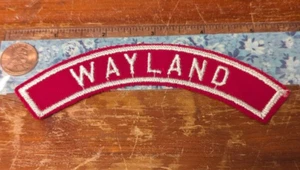 BSA Wayland, PA Community Strip RWS Allegheny Highlands-Elk Lick Council (moww) - Picture 1 of 1