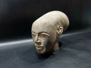 Cabeza de Nefertari Hija de Akenatón Única Egipcia Hecha a Mano Calavera Grande - Imagen 1 de 9