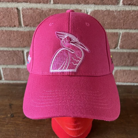 Delmarva Shorebirds Pink Breast Cancer Hat Promotional One Size Fits All Cover