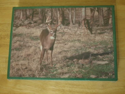 Rompecabezas Parque Nacional Great Smoky Mountain - 550 piezas 18" x 24" Foto 1 de 3