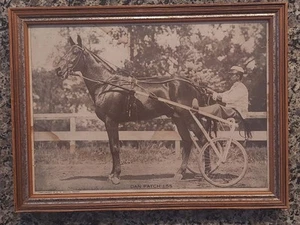RARE DAN PATCH PACER HORSE 1:55 ORIGINAL VINTAGE "HERSHEY THE DRIVER" *READ* - Picture 1 of 11