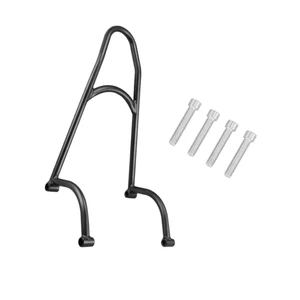 Motor Detachable Rear Passenger Backrest for Honda Rebel CMX500 CMX300 2017-2023 - Picture 1 of 6