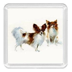 Papillon Dogs Dog Acrylic Coaster Novelty Drink Cup Mat Great Gift - Picture 1 of 1