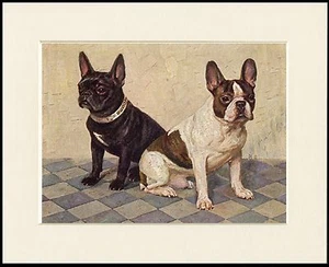 FRENCH BULLDOG TWO DOGS CHARMING DOG PRINT MOUNTED READY TO FRAME - Foto 1 di 1