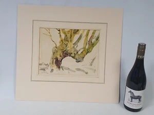 Study of a Tree by listed artist Orlando Greenwood ex. Christie's Studio Sale - Picture 1 of 7