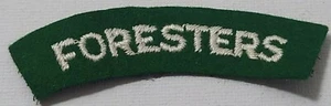 British Army Sherwood Foresters Shoulder flash patch Vintage Reproduction - Picture 1 of 2