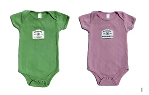 Red Sox Baby Bodysuit Entering Fenway Mass Baseball Fan Gift Green Pink 3-6 Mos - Picture 1 of 12