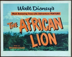 Walt Disney most amazing true life African Lion original Title Lobby Card 1347