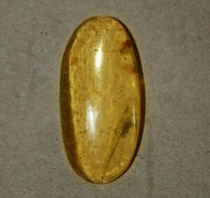 17.50Cts. Natural Genuine Old Baltic Amber Untreated Certified Gemstone