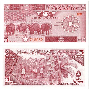 Somalia 5 Shilin Soomaali P#31b (1986) Bankiga Dhexe ee Soomaaliya UNC - Picture 1 of 1