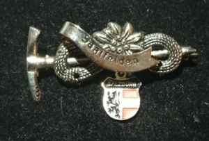 Precioso broche (broche) Saalfelden Salzburg tono plata J29strd* - Imagen 1 de 6