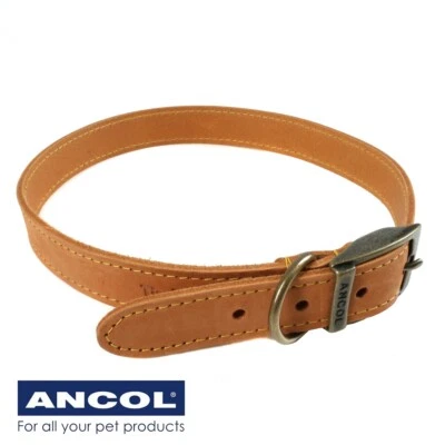 COLLAR GRANDE DE PERRO DE CUERO TIMBERWOLF Pastor Alemán Labrador Gran Danés HECHO EN REINO UNIDO Foto 1 de 4