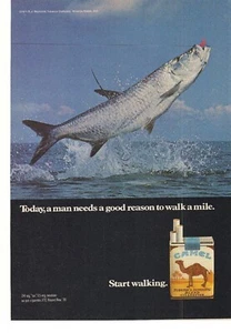 Zigarettenwerbung Camel 1971  - Bild 1 von 1