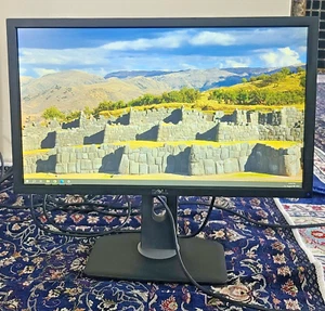 Dell P2411Hb 24" IPS LCD Monitor Full HD 1080p 5ms VGA DVI Widescreen - Picture 1 of 5