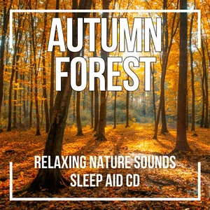 NATURE SOUNDS CD AUTUMN FOREST CD – FOR SLEEP, RELAXATION & CALM - Foto 1 di 1