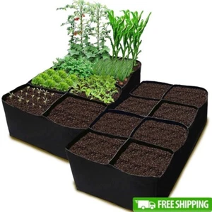 2 Pack Fabric Raised Garden Bed 6x3x1ft Garden Grow Bed Bags for Growing Herbs - Picture 1 of 8