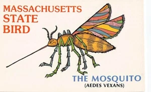 Postkarte MA: Massachusetts State Bird - Moskito, Humor, unbesendet - Bild 1 von 2