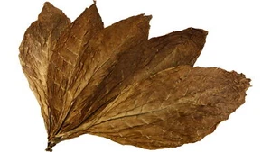 Kentucky Sun Cured Tabakblätter Rohtabak 6kg - Bild 1 von 3