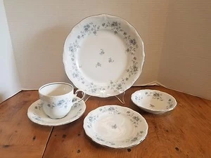 5 piezas Lugar Ajuste Johann Haviland Guirnalda Azul Borde Plata Baviera Alemania - Imagen 1 de 6
