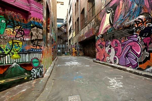 FIELTRO Fotomural-GRAFFITI-(941S)-Casco antiguo callejón ciudad flores muro piedra ladrillo - Imagen 1 de 1