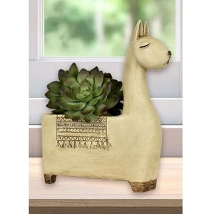 Statuina piatto fioriera lama serena beige lavaggio succulenta NON inclusa - Foto 1 di 6