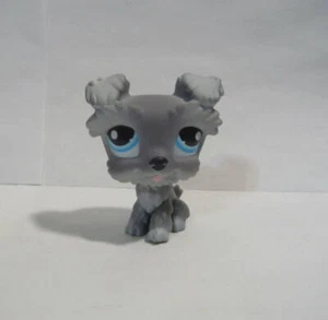 LITTLEST PET SHOP SCHNAUZER # 1393 GRAY GREY BLUE EYES DOG - Picture 1 of 3
