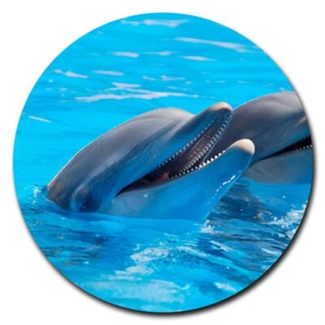 NAUTICAL DOLPHIN OCEAN Custom Charm Pendant On 925 Sterling Silver 20" necklace - Picture 1 of 8