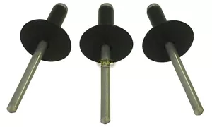 Large Head Flat Black Rivets Pop Rivet 50ct 3/16" Racing Fasteners IMCA USMTS - Bild 1 von 6