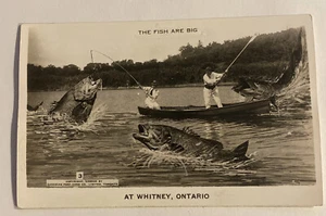 Vintage exaggerated RPPC Postcard ~ The Fish are big at Whitney, Ontario - Picture 1 of 2