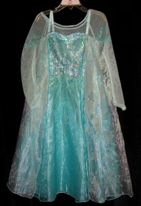 EUC Disney Store PRINCESS ELSA Frozen Gown Halloween Costume Size S 5/6 - Picture 1 of 11